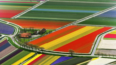 Beautiful The Netherlands